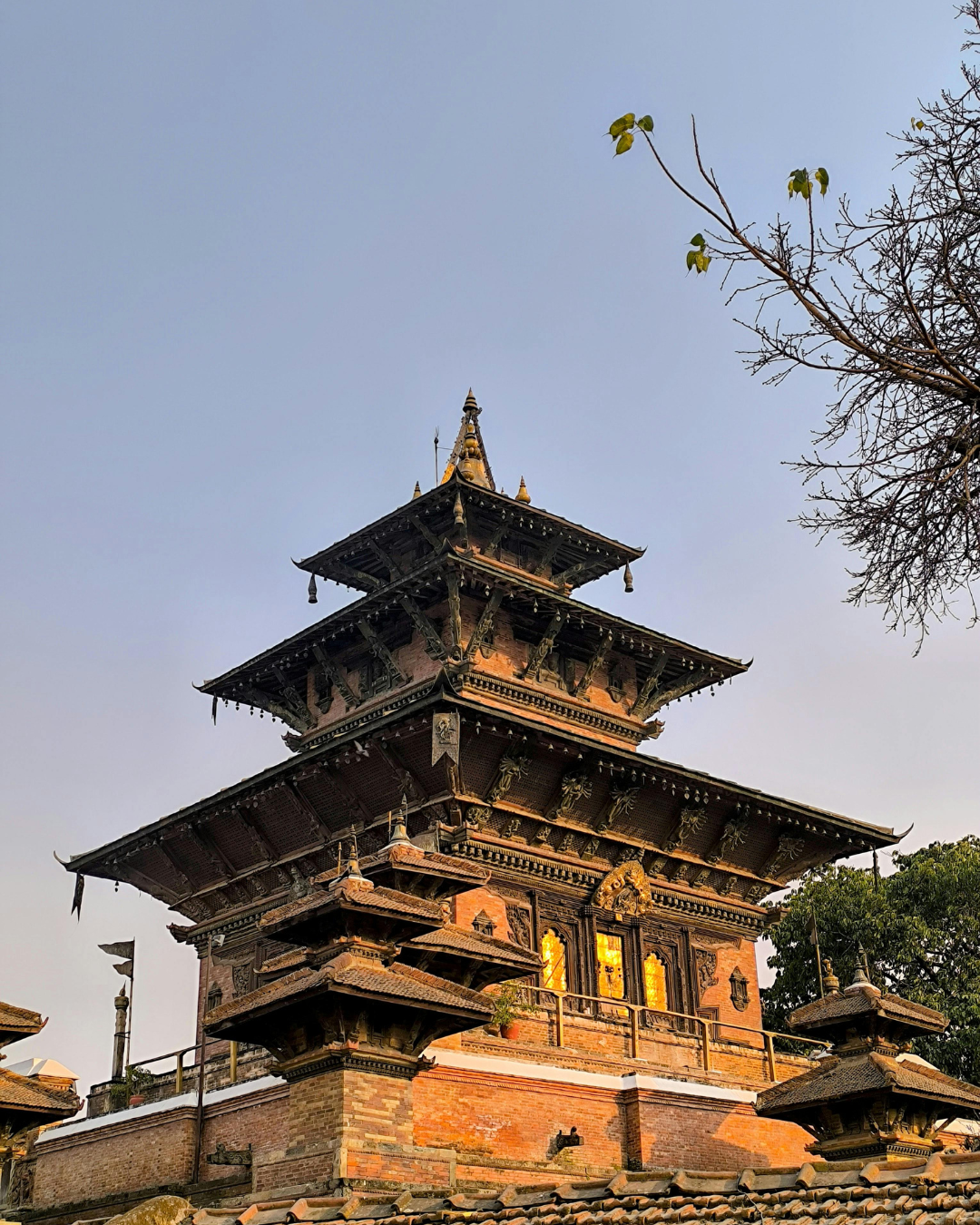 Why Heavenly Himalayan Don’t Do Sales Like Black Friday?